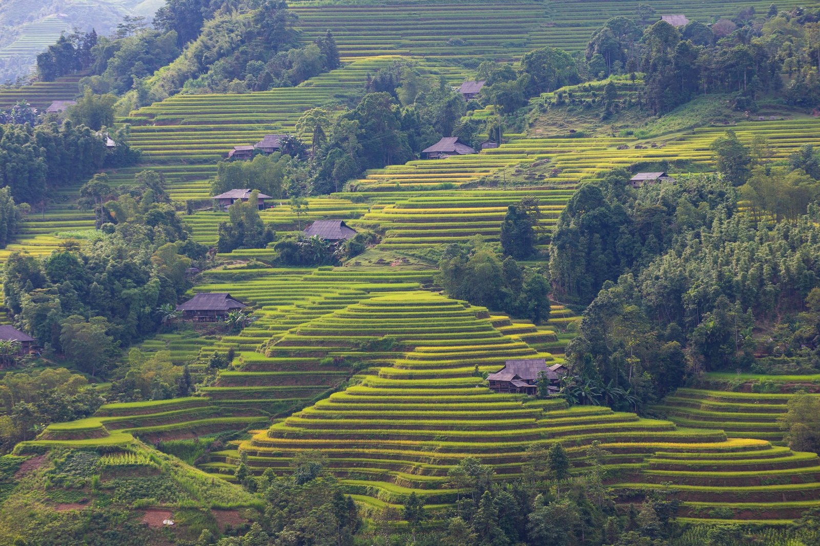 The Luxury of the Open Path: A Master Guide to Your Private E-Bike Tour in Ha Giang